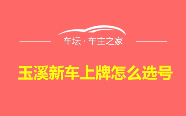 玉溪新车上牌怎么选号