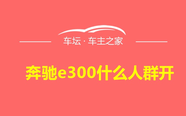 奔驰e300什么人群开