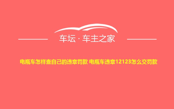 电瓶车怎样查自己的违章罚款 电瓶车违章12123怎么交罚款