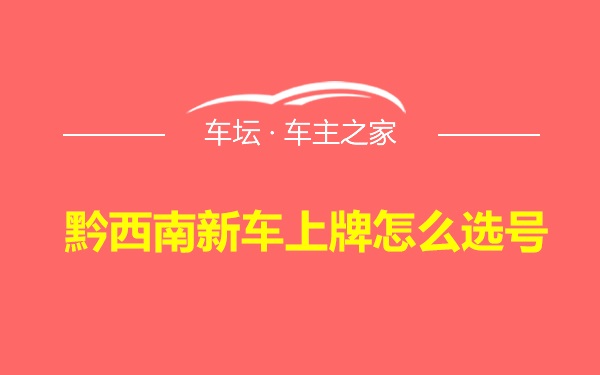 黔西南新车上牌怎么选号