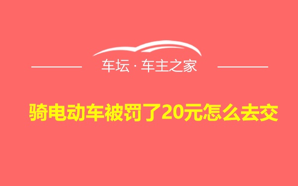 骑电动车被罚了20元怎么去交