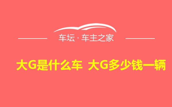 大G是什么车 大G多少钱一辆