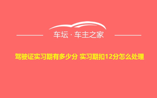 驾驶证实习期有多少分 实习期扣12分怎么处理