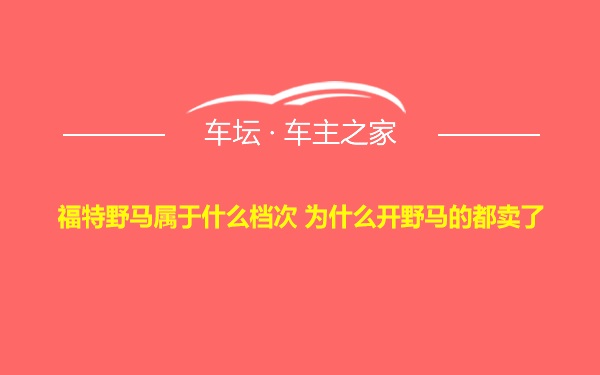 福特野马属于什么档次 为什么开野马的都卖了