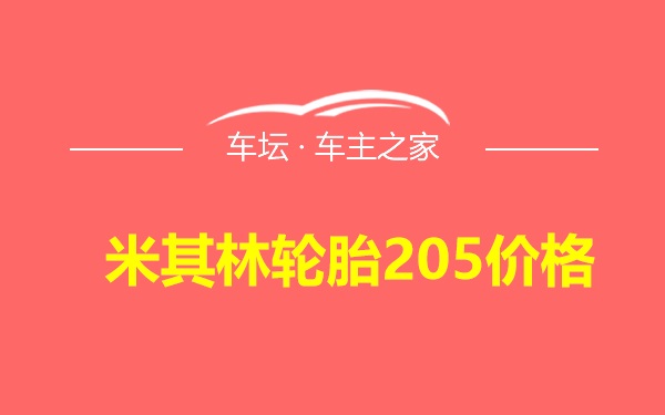 米其林轮胎205价格