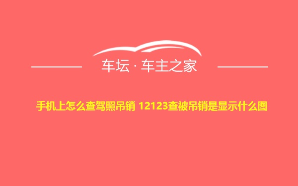 手机上怎么查驾照吊销 12123查被吊销是显示什么图