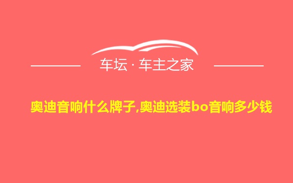 奥迪音响什么牌子,奥迪选装bo音响多少钱