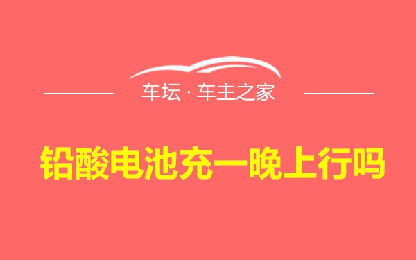 铅酸电池充一晚上行吗