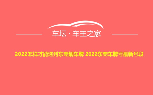 2022怎样才能选到东莞靓车牌 2022东莞车牌号最新号段