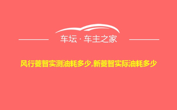 风行菱智实测油耗多少,新菱智实际油耗多少