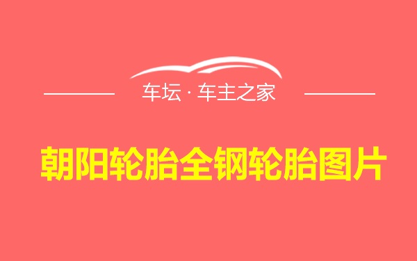 朝阳轮胎全钢轮胎图片