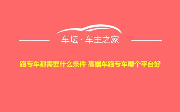 跑专车都需要什么条件 高端车跑专车哪个平台好