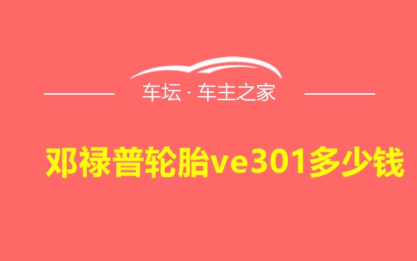 邓禄普轮胎ve301多少钱