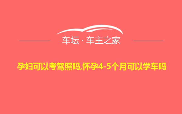 孕妇可以考驾照吗,怀孕4-5个月可以学车吗