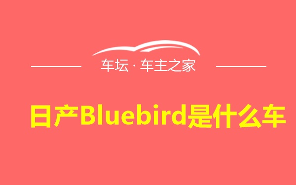 日产Bluebird是什么车